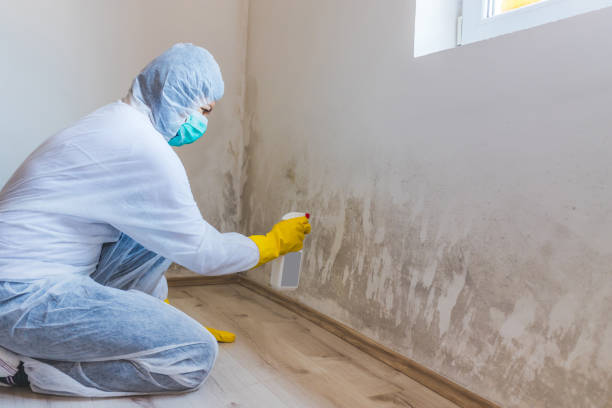Bathroom Mold Removal assessment in New Providence bathroom